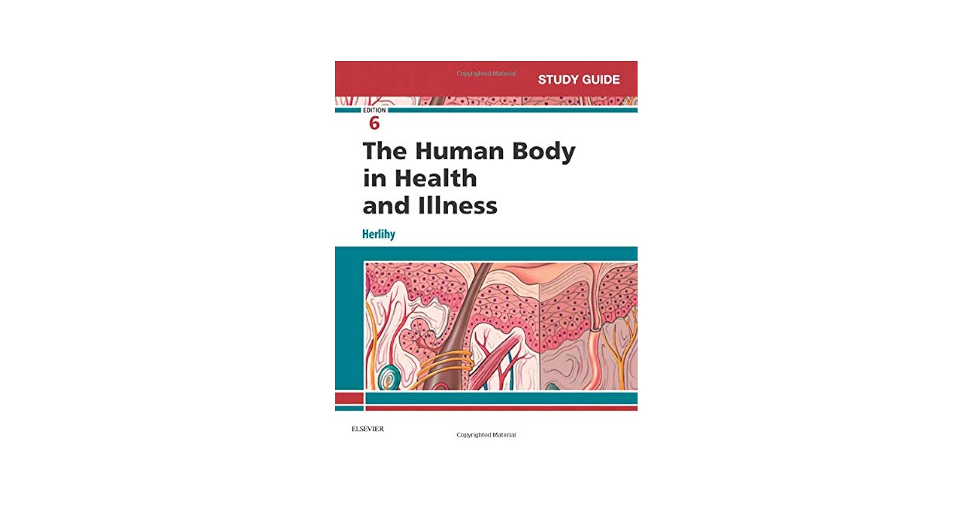 値下げ❗️The Human Body in Health and Illness Amazon.com: The Human Body in Health and Illness - E-Book